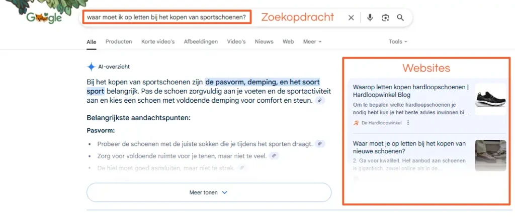 Google AI Overzicht bronnen